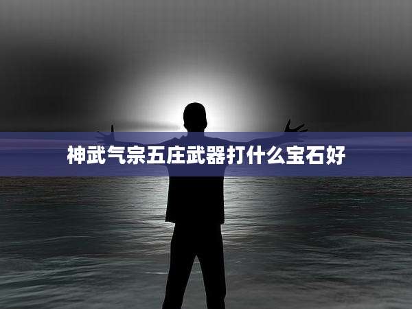 神武气宗五庄武器打什么宝石好