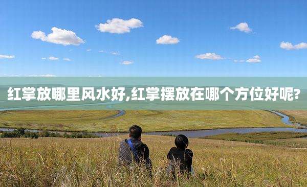 红掌放哪里风水好,红掌摆放在哪个方位好呢?