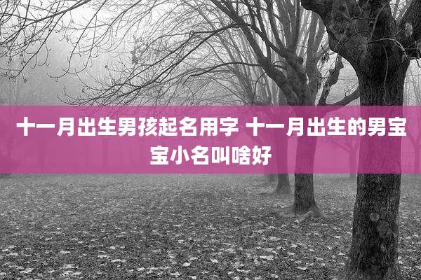 十一月出生男孩起名用字 十一月出生的男宝宝小名叫啥好