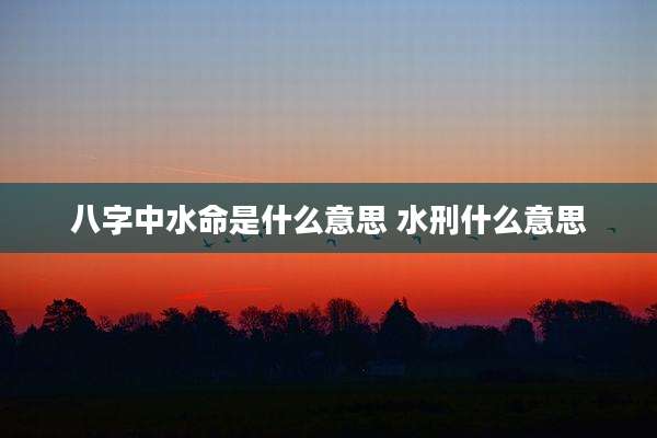 八字中水命是什么意思 水刑什么意思
