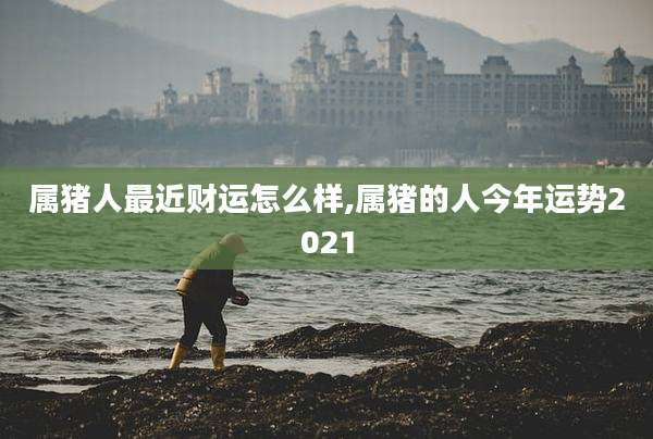 属猪人最近财运怎么样,属猪的人今年运势2021