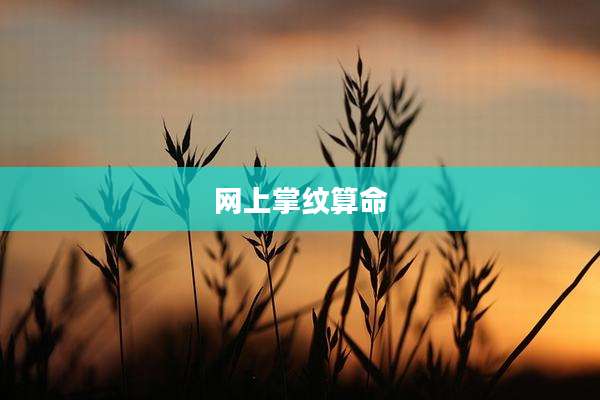 网上掌纹算命