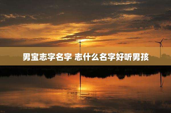 男宝志字名字 志什么名字好听男孩