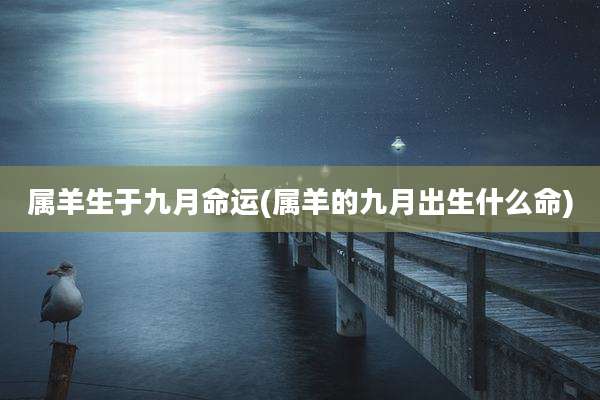 属羊生于九月命运(属羊的九月出生什么命)