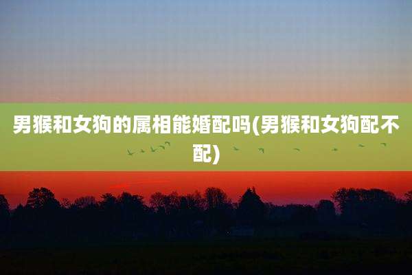 男猴和女狗的属相能婚配吗(男猴和女狗配不配)
