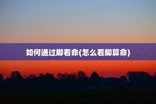 如何通过脚看命(怎么看脚算命)