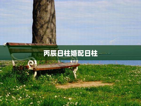 丙辰日柱婚配日柱