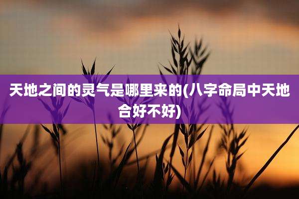 天地之间的灵气是哪里来的(八字命局中天地合好不好)