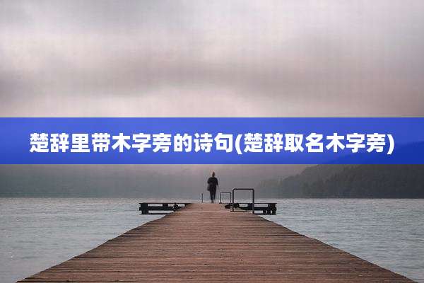 楚辞里带木字旁的诗句(楚辞取名木字旁)