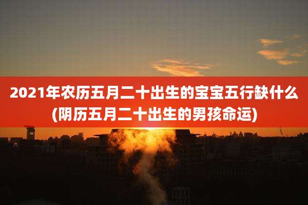 2021年农历五月二十出生的宝宝五行缺什么(阴历五月二十出生的男孩命运)