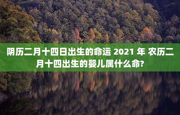 阴历二月十四日出生的命运 2021 年 农历二月十四出生的婴儿属什么命?