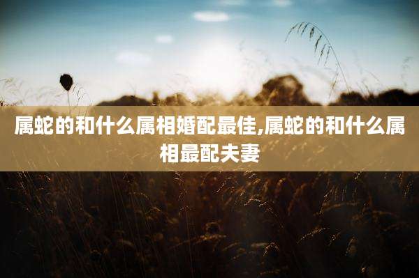 属蛇的和什么属相婚配最佳,属蛇的和什么属相最配夫妻