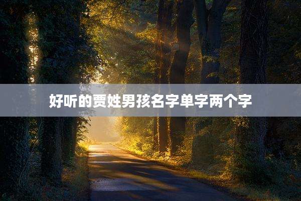 好听的贾姓男孩名字单字两个字