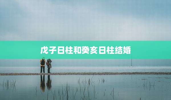 戊子日柱和癸亥日柱结婚