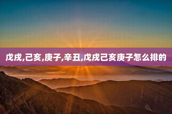 戊戌,己亥,庚子,辛丑,戊戌己亥庚子怎么排的