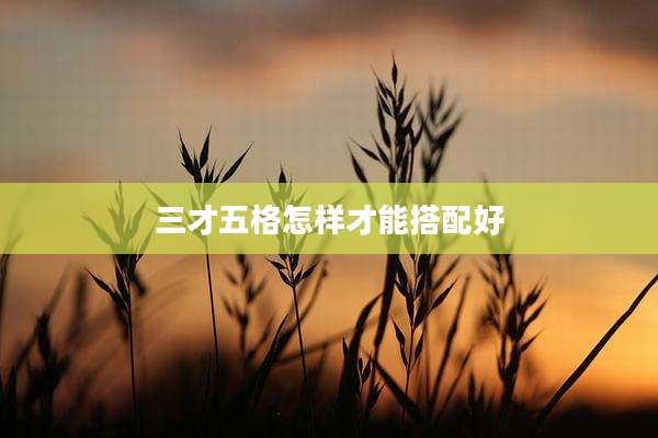三才五格怎样才能搭配好