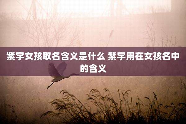 紫字女孩取名含义是什么 紫字用在女孩名中的含义