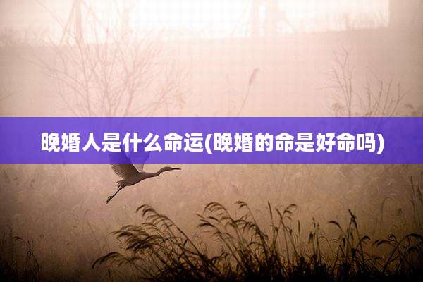 晚婚人是什么命运(晚婚的命是好命吗)