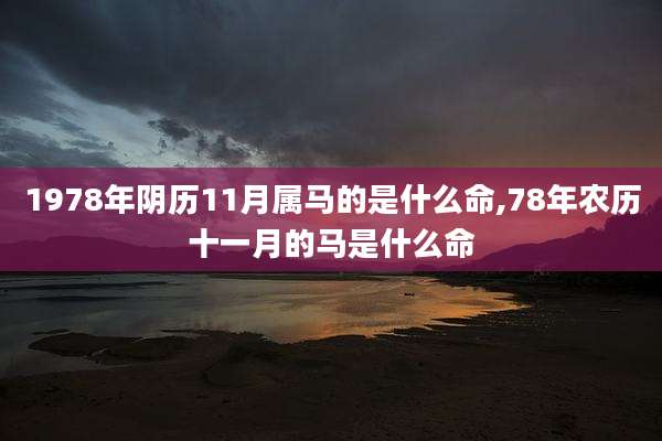 1978年阴历11月属马的是什么命,78年农历十一月的马是什么命