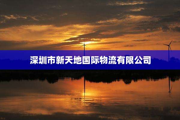 深圳市新天地国际物流有限公司