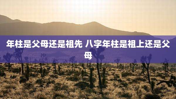 年柱是父母还是祖先 八字年柱是祖上还是父母