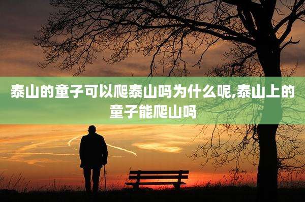 泰山的童子可以爬泰山吗为什么呢,泰山上的童子能爬山吗