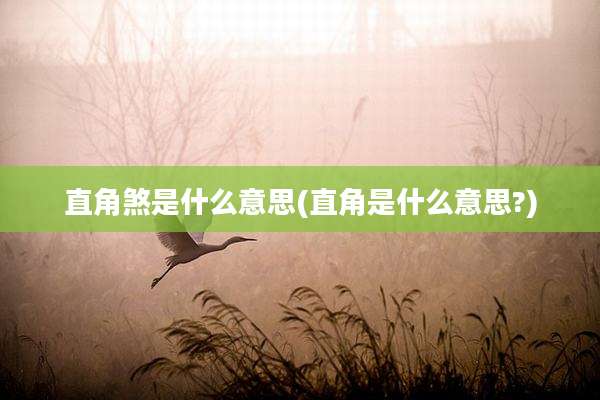 直角煞是什么意思(直角是什么意思?)
