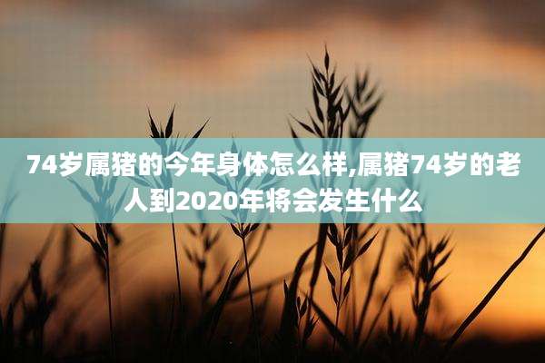 74岁属猪的今年身体怎么样,属猪74岁的老人到2020年将会发生什么