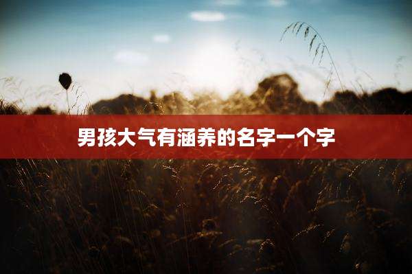 男孩大气有涵养的名字一个字