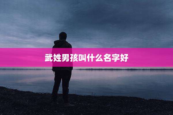 武姓男孩叫什么名字好