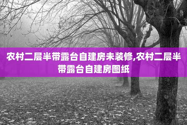 农村二层半带露台自建房未装修,农村二层半带露台自建房图纸