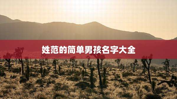 姓范的简单男孩名字大全