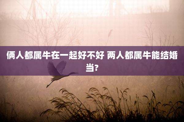 俩人都属牛在一起好不好 两人都属牛能结婚当?