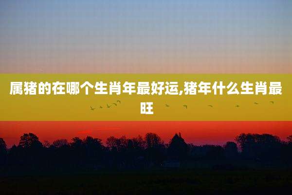 属猪的在哪个生肖年最好运,猪年什么生肖最旺