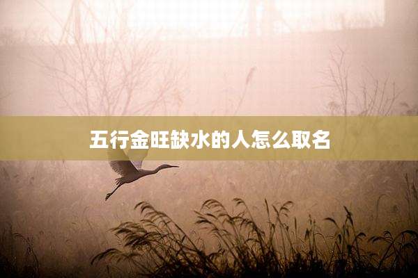 五行金旺缺水的人怎么取名