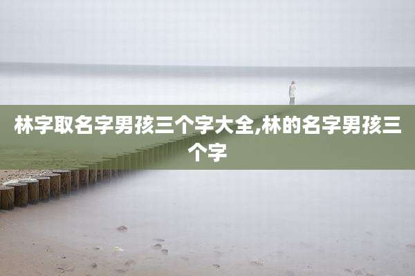 林字取名字男孩三个字大全,林的名字男孩三个字