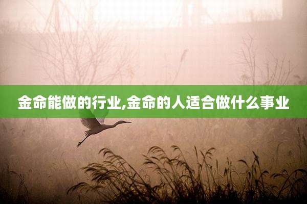 金命能做的行业,金命的人适合做什么事业