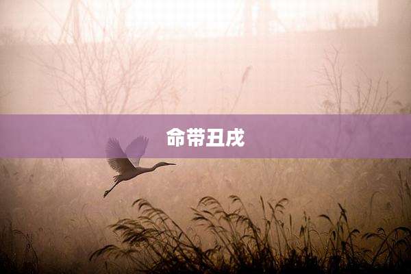 命带丑戌