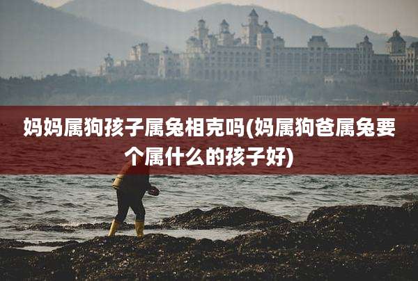 妈妈属狗孩子属兔相克吗(妈属狗爸属兔要个属什么的孩子好)
