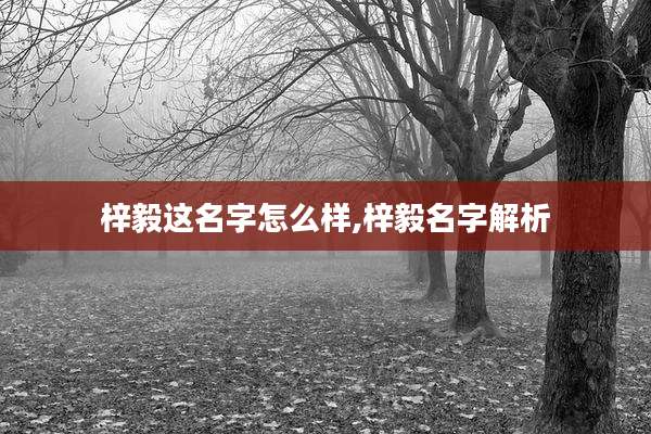 梓毅这名字怎么样,梓毅名字解析