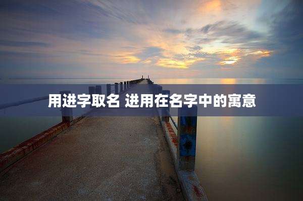 用进字取名 进用在名字中的寓意