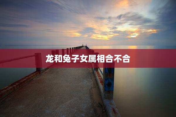 龙和兔子女属相合不合