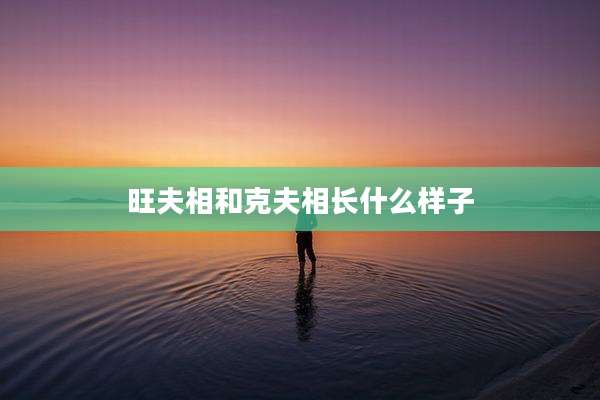 旺夫相和克夫相长什么样子