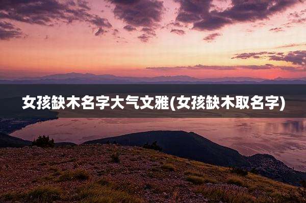 女孩缺木名字大气文雅(女孩缺木取名字)