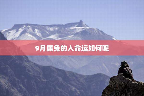 9月属兔的人命运如何呢