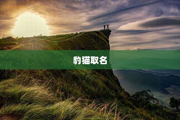 豹猫取名