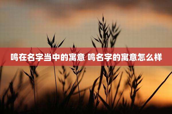 鸣在名字当中的寓意 鸣名字的寓意怎么样
