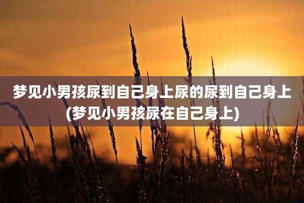 梦见小男孩尿到自己身上尿的尿到自己身上(梦见小男孩尿在自己身上)