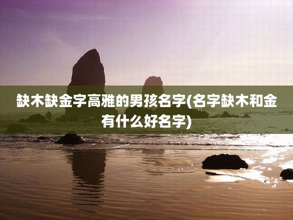 缺木缺金字高雅的男孩名字(名字缺木和金有什么好名字)