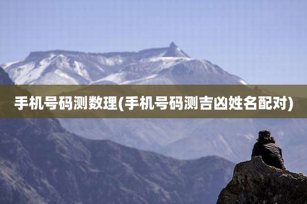 手机号码测数理(手机号码测吉凶姓名配对)